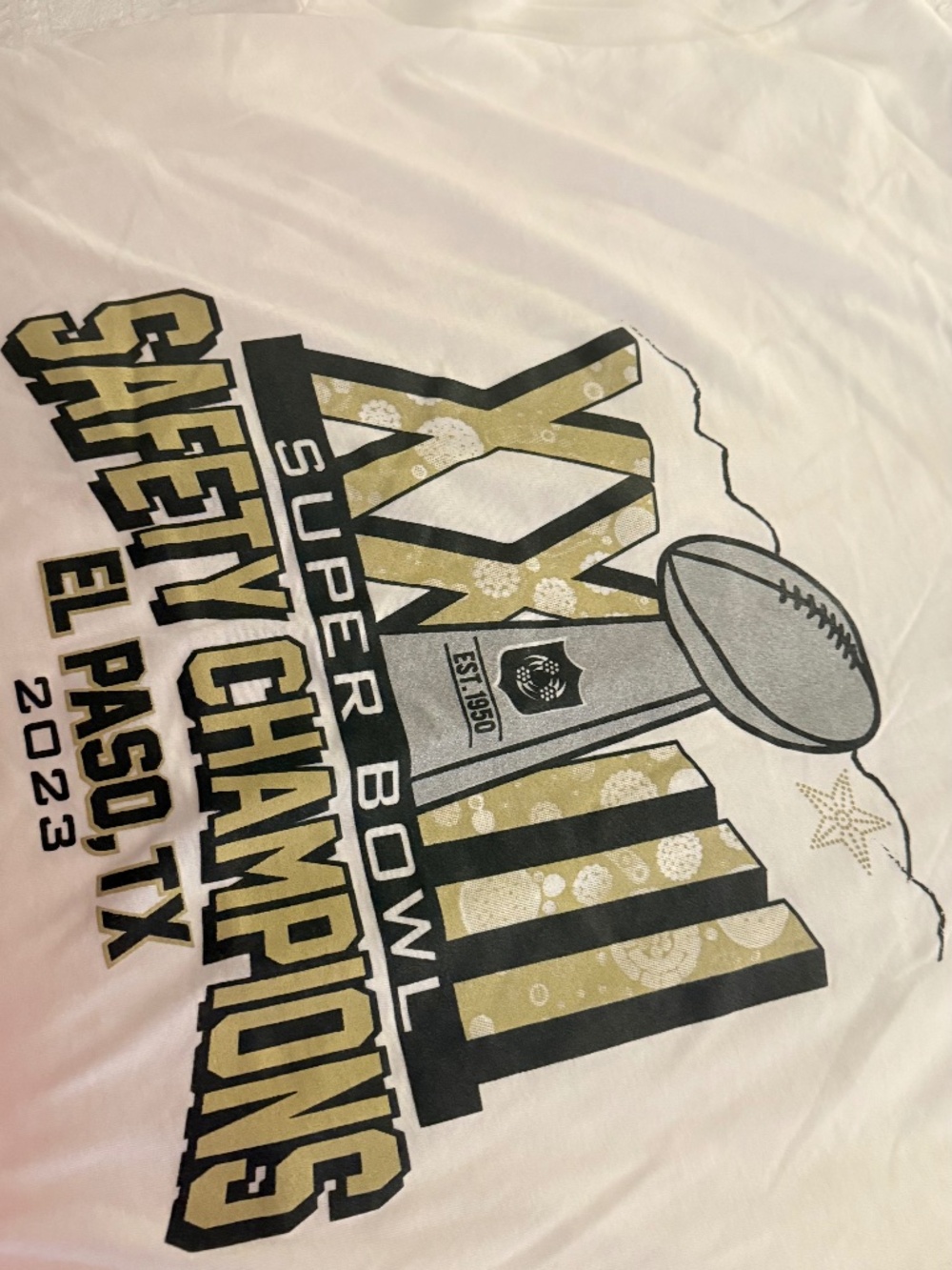 Custom "Safety Champions" El Paso TX 2023 Parody District Perfect Tri Tee size M